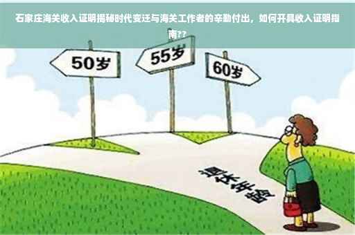石家庄海关收入证明揭秘时代变迁与海关工作者的辛勤付出，如何开具收入证明指南??