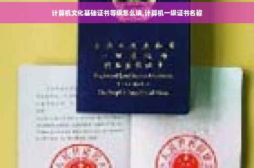 计算机文化基础证书等级怎么填,计算机一级证书名称