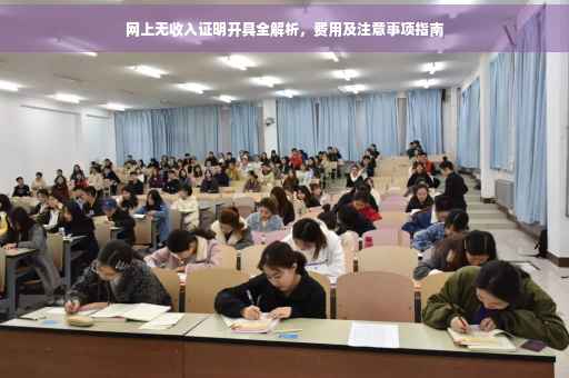 网上无收入证明开具全解析，费用及注意事项指南