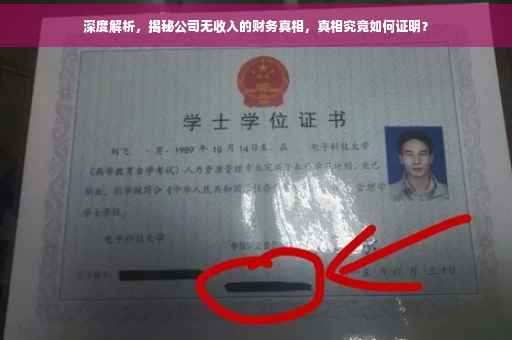 深度解析，揭秘公司无收入的财务真相，真相究竟如何证明？
