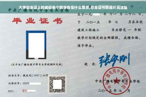 大学毕业证上的编码各个数字各是什么意思,毕业证书照图片高清版