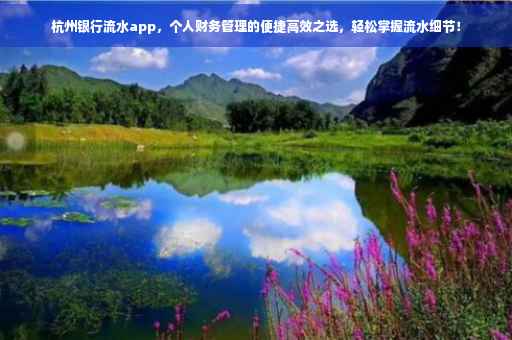 杭州银行流水app，个人财务管理的便捷高效之选，轻松掌握流水细节！