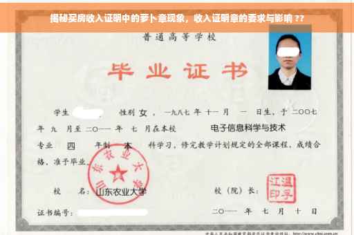 揭秘买房收入证明中的萝卜章现象，收入证明章的要求与影响 ??