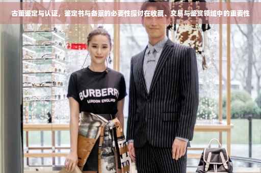 古董鉴定与认证，鉴定书与备案的必要性探讨在收藏、交易与鉴赏领域中的重要性