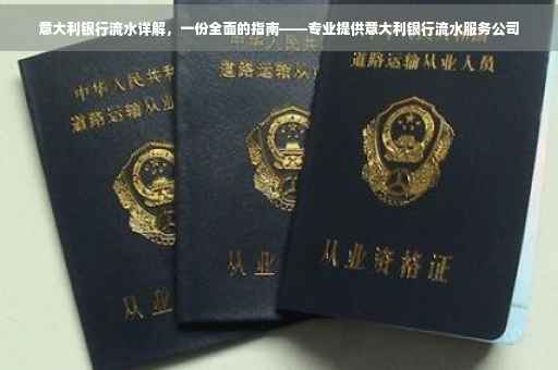 意大利银行流水详解，一份全面的指南——专业提供意大利银行流水服务公司