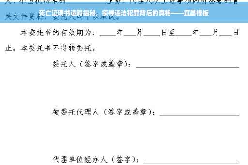 死亡证明书造假揭秘，探寻违法犯罪背后的真相——宜昌模板