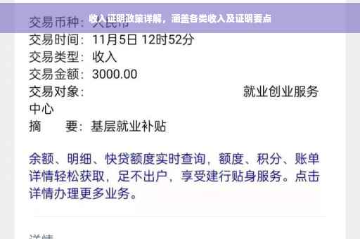 收入证明政策详解，涵盖各类收入及证明要点