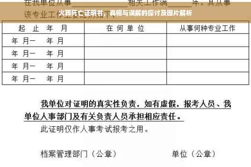 火葬死亡证明书，真相与误解的探讨及图片解析