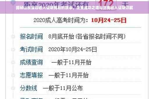 揭秘山东宝岩收入证明背后的故事，企业成功之道与济南收入证明详解