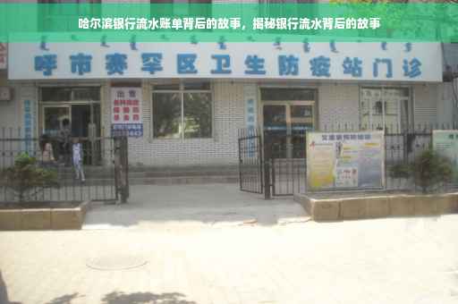 哈尔滨银行流水账单背后的故事，揭秘银行流水背后的故事