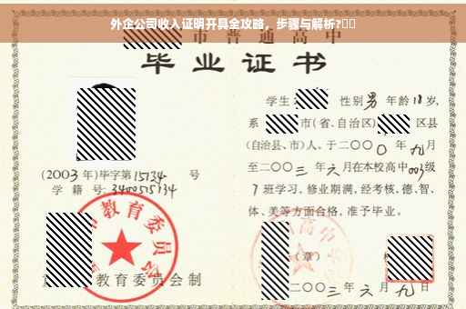 外企公司收入证明开具全攻略，步骤与解析?⚡️