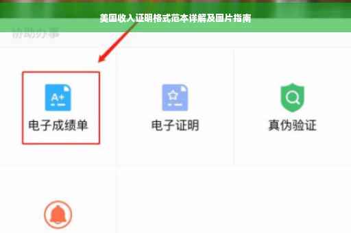 美国收入证明格式范本详解及图片指南