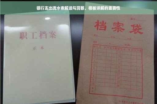 银行支出流水表解读与洞察，模板详解的重要性