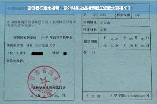 暑假银行流水揭秘，意外财务之旅揭示假工资流水真相?⚡️