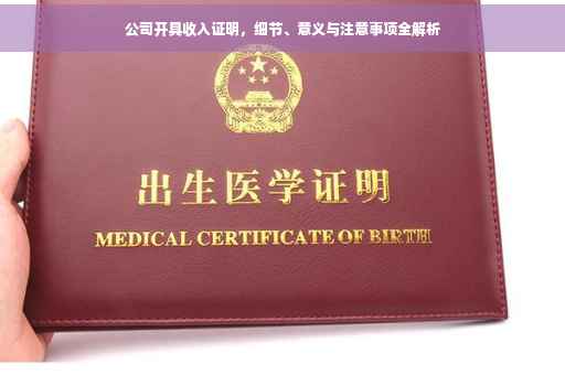 公司开具收入证明，细节、意义与注意事项全解析