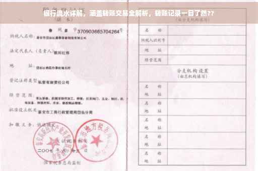 银行流水详解，涵盖转账交易全解析，转账记录一目了然??