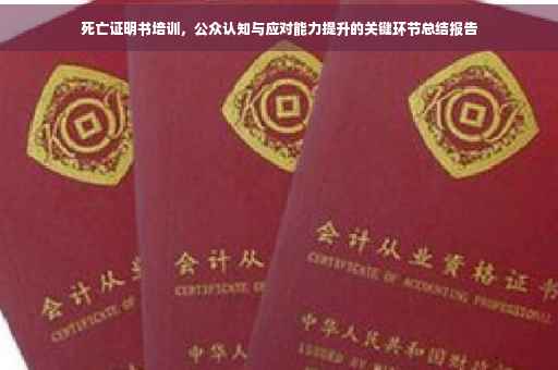 死亡证明书培训，公众认知与应对能力提升的关键环节总结报告