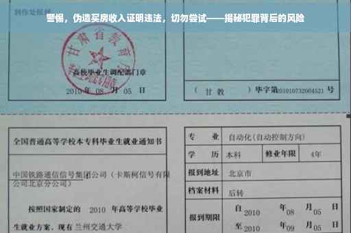 警惕，伪造买房收入证明违法，切勿尝试——揭秘犯罪背后的风险