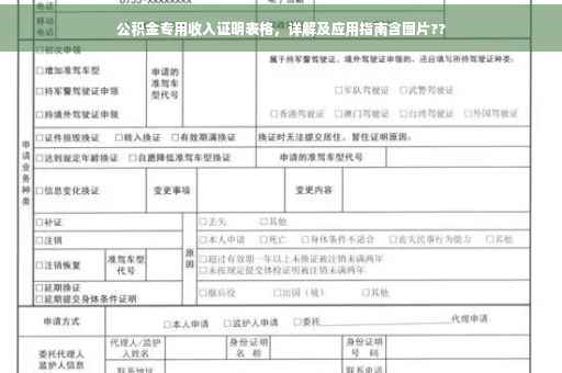 公积金专用收入证明表格，详解及应用指南含图片??