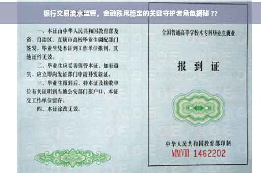 银行交易流水监管，金融秩序稳定的关键守护者角色揭秘 ??