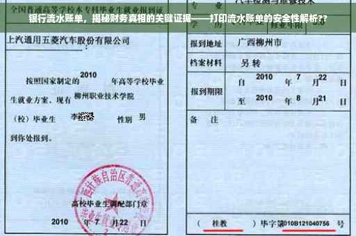 银行流水账单，揭秘财务真相的关键证据——打印流水账单的安全性解析??