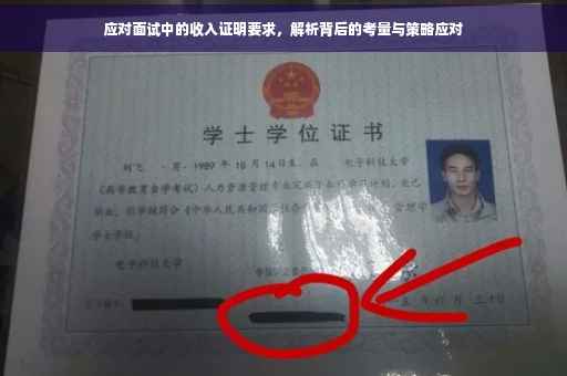 应对面试中的收入证明要求，解析背后的考量与策略应对