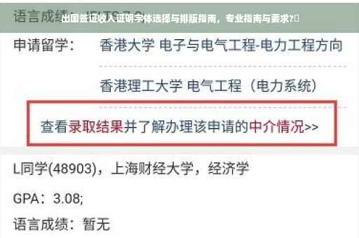 出国签证收入证明字体选择与排版指南，专业指南与要求?✨
