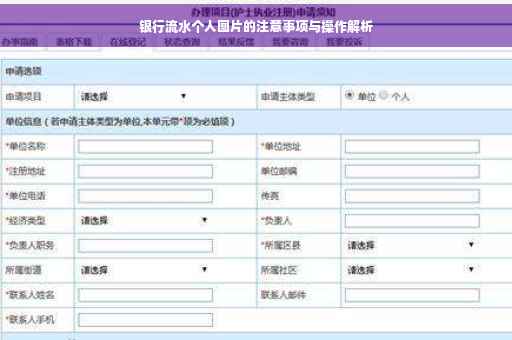 银行流水个人图片的注意事项与操作解析