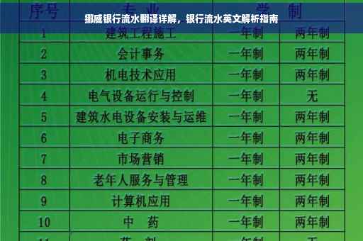 挪威银行流水翻译详解，银行流水英文解析指南