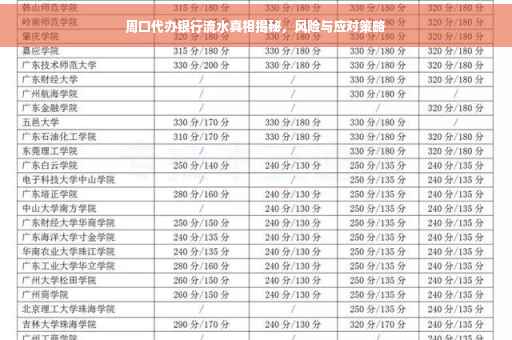 周口代办银行流水真相揭秘，风险与应对策略