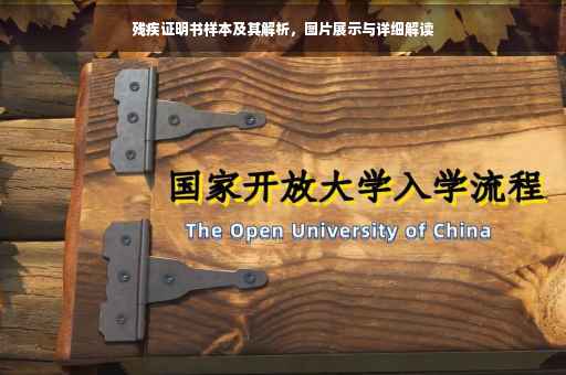 残疾证明书样本及其解析，图片展示与详细解读