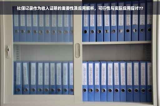 社保记录作为收入证明的重要性及应用解析，可行性与实际应用探讨??