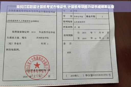 如何打印职称计算机考试合格证书,计算机专项能力证书成绩怎么查