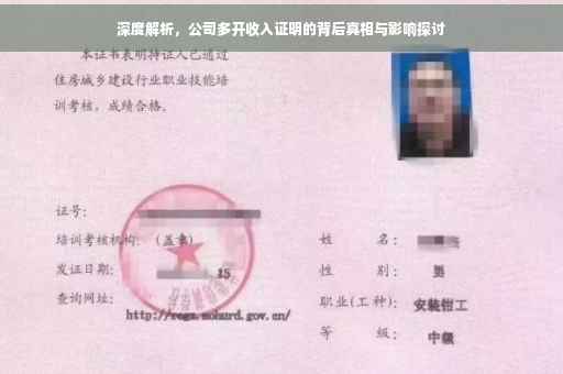 深度解析，公司多开收入证明的背后真相与影响探讨