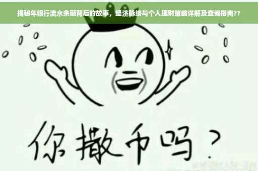 揭秘年银行流水余额背后的故事，经济脉络与个人理财策略详解及查询指南??