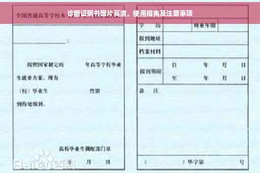 诊断证明书图片高清，使用指南及注意事项