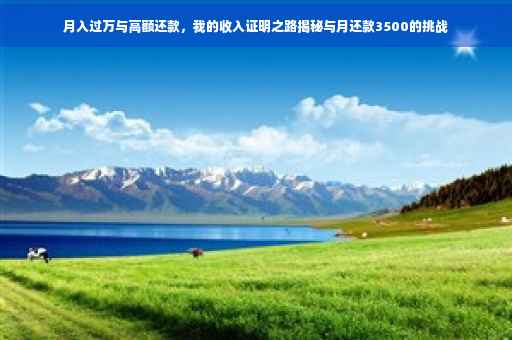 月入过万与高额还款，我的收入证明之路揭秘与月还款3500的挑战