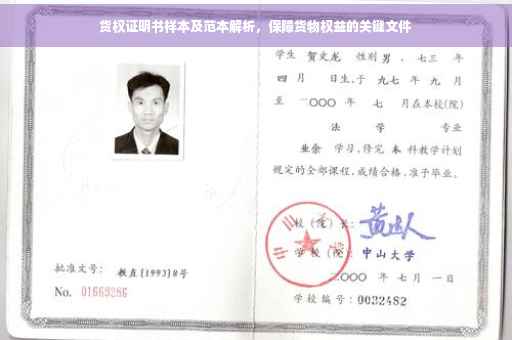 货权证明书样本及范本解析，保障货物权益的关键文件
