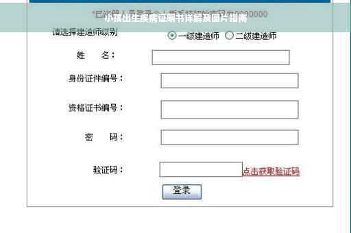 小孩出生疾病证明书详解及图片指南