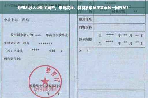郑州无收入证明全解析，申请流程、材料清单及注意事项一网打尽?✨