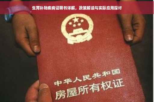 生育补贴疾病证明书详解，政策解读与实际应用探讨