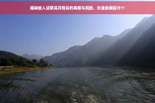揭秘收入证明高开背后的真相与风险，合适金额探讨??