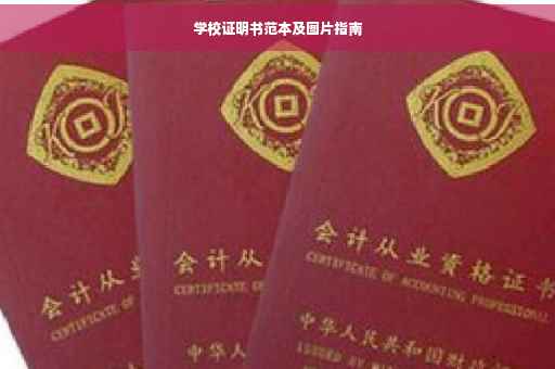 学校证明书范本及图片指南