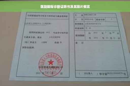 医院脑瘤诊断证明书及其图片概览