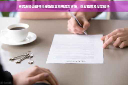 被告离婚证明书揭秘婚姻真相与应对方法，撰写指南及深度解析
