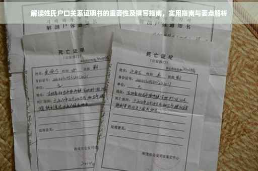 解读姓氏户口关系证明书的重要性及撰写指南，实用指南与要点解析