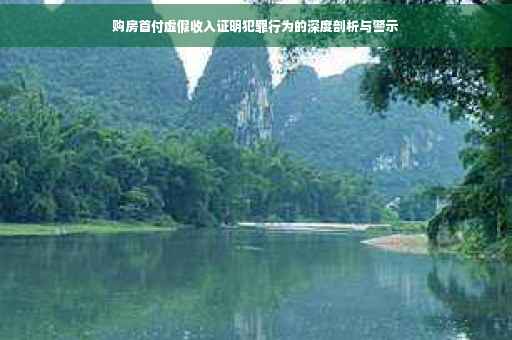 购房首付虚假收入证明犯罪行为的深度剖析与警示