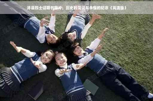 沛县烈士证明书图片，历史的见证与永恒的纪念（高清版）