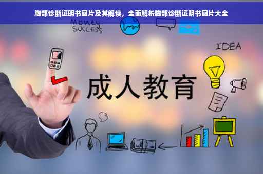 胸部诊断证明书图片及其解读，全面解析胸部诊断证明书图片大全