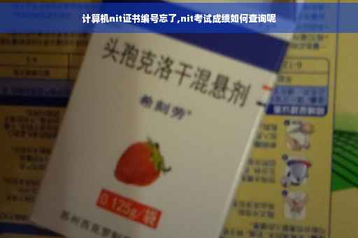 计算机nit证书编号忘了,nit考试成绩如何查询呢